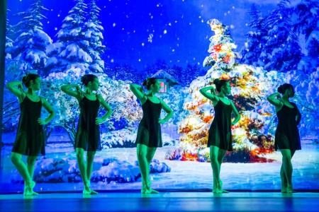 Zvezde Postojna - Ukrajinska lastovica-11.12.2022 - Valter Leban-6934